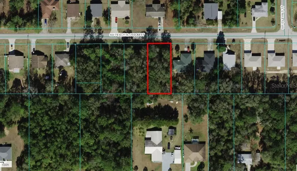 PEACH BLOSSOM ST, Dunnellon, FL 34431