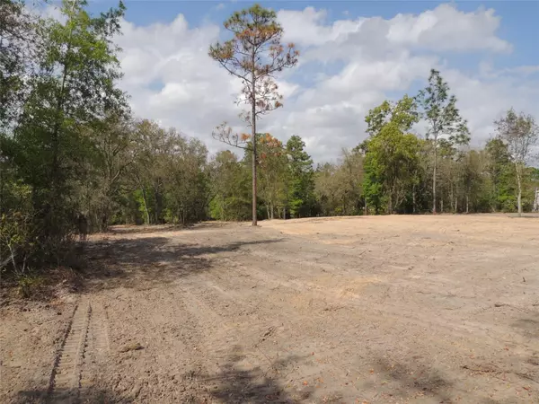 Bronson, FL 32621,tbd NE 81ST ST