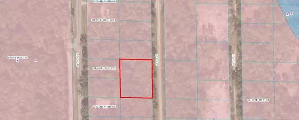 Fort Mc Coy, FL 32134,TBD NE 110 CT