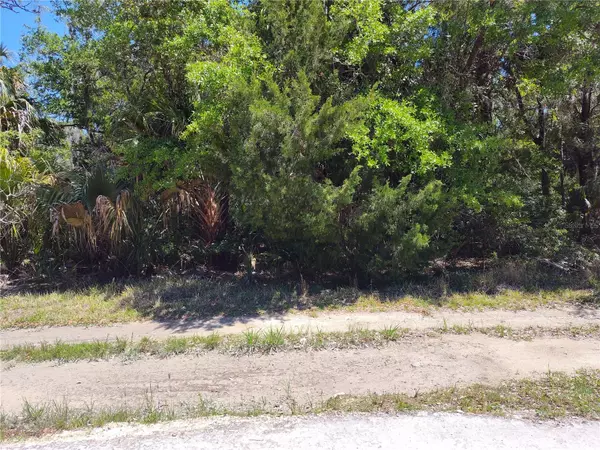 Inglis, FL 34449,11433 N CLAMDIGGER TER