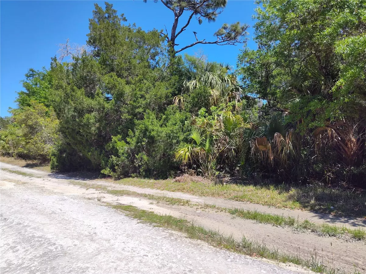 Inglis, FL 34449,11433 N CLAMDIGGER TER