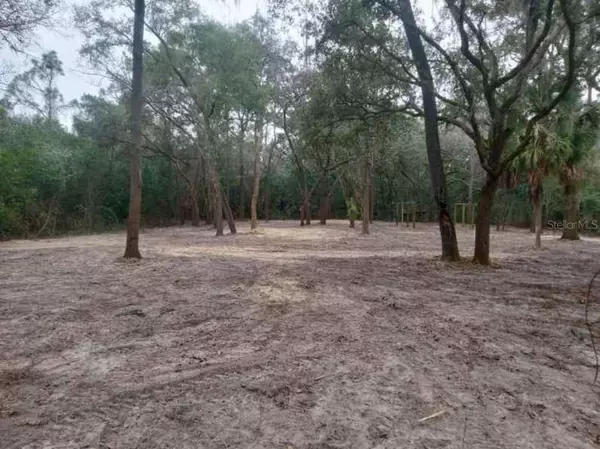 7451 & 7471 NW 167TH PL, Trenton, FL 32693
