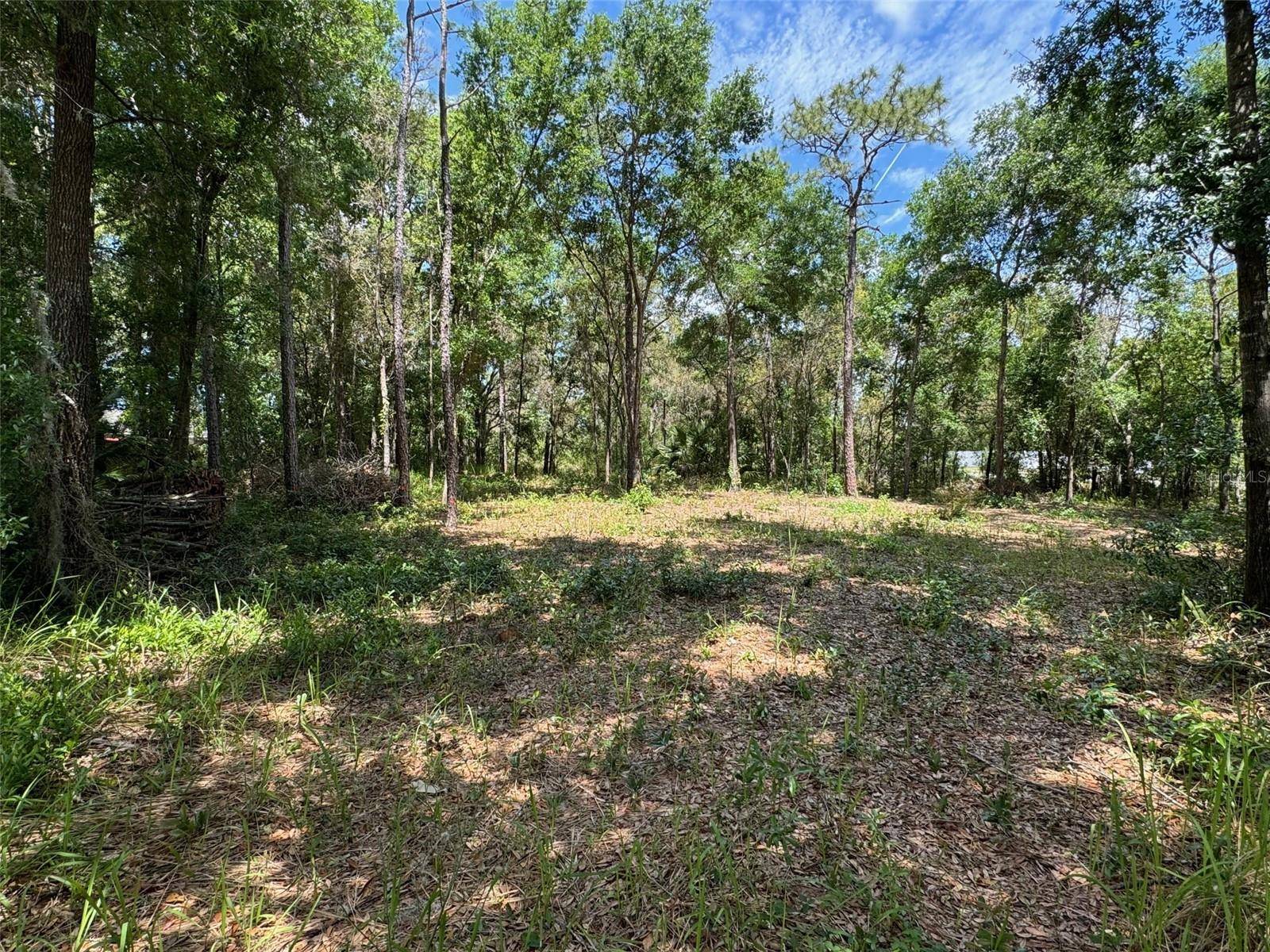 Ocala, FL 34472,TBD PINE WAY CT