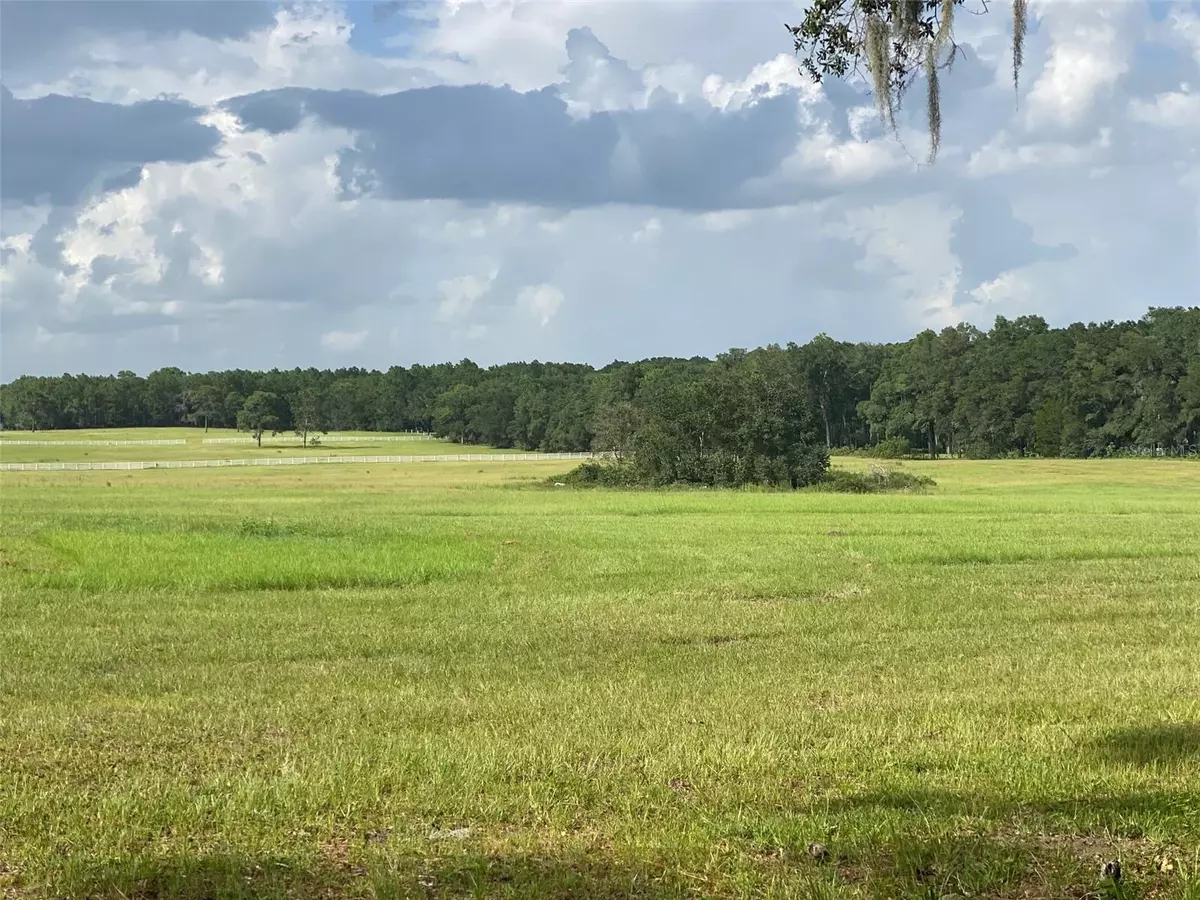 Ocala, FL 34481,WEST 20.24 Acres PARCEL SW 134 TER