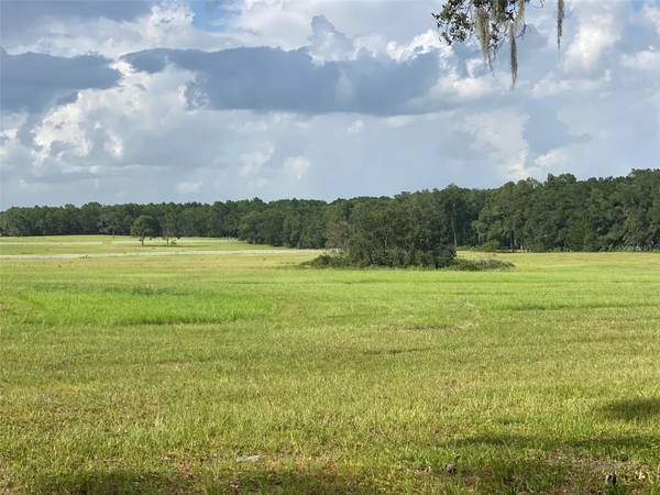 WEST 20.24 Acres PARCEL SW 134 TER,  Ocala,  FL 34481