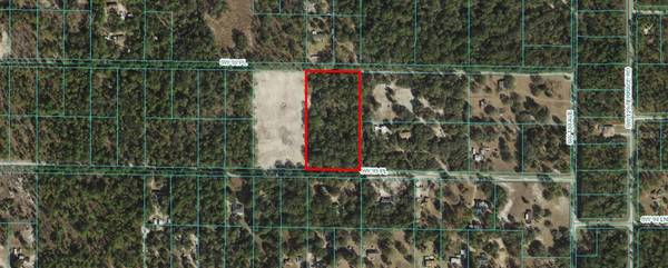 SW 93RD PLACE,  Dunnellon,  FL 34432