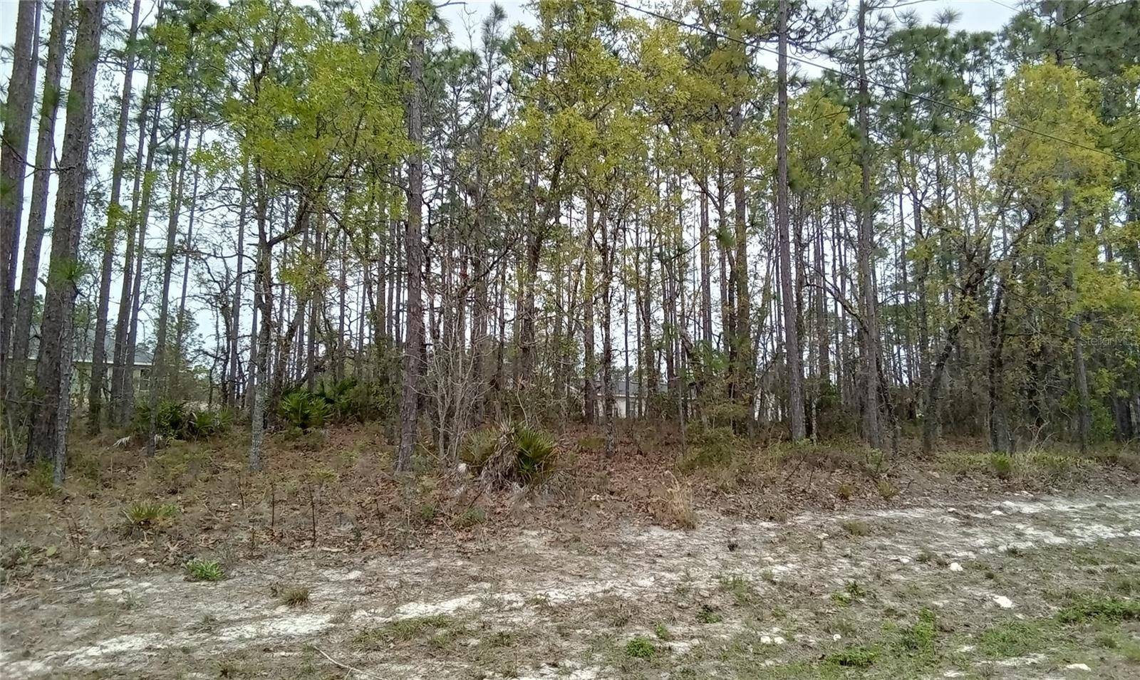 SW 63RD AVE, Ocala, FL 34473