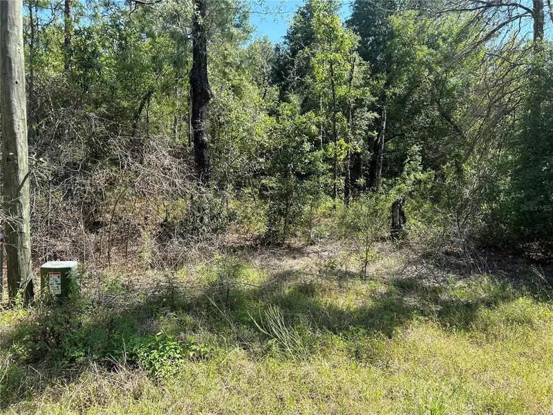 0 SW 95TH PL, Dunnellon, FL 34432