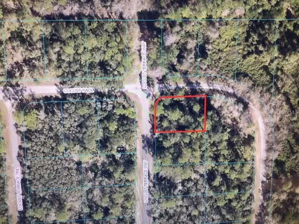 Ocala, FL 34472,0 LOCUST TERRACE WAY