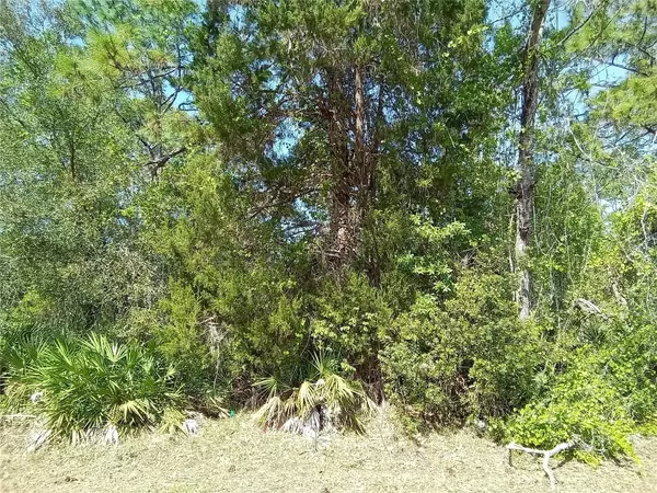 Homosassa, FL 34446,30 PINE DR