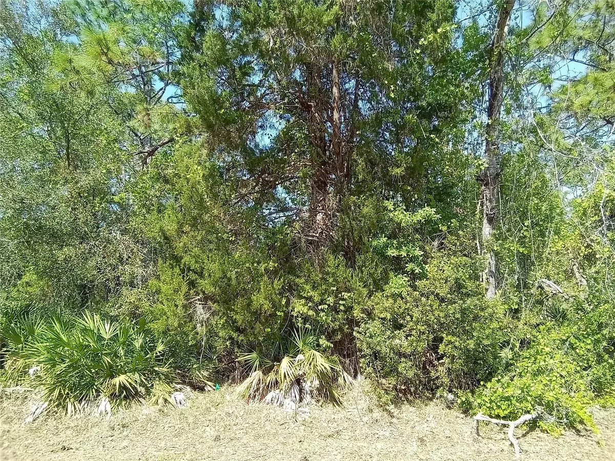 Homosassa, FL 34446,30 PINE DR