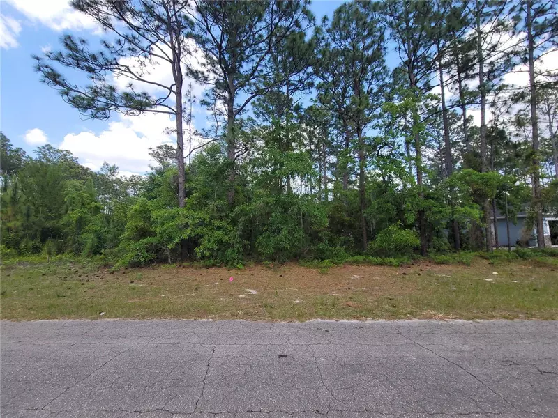 Lot 12 SW 80TH AVE, Ocala, FL 34473