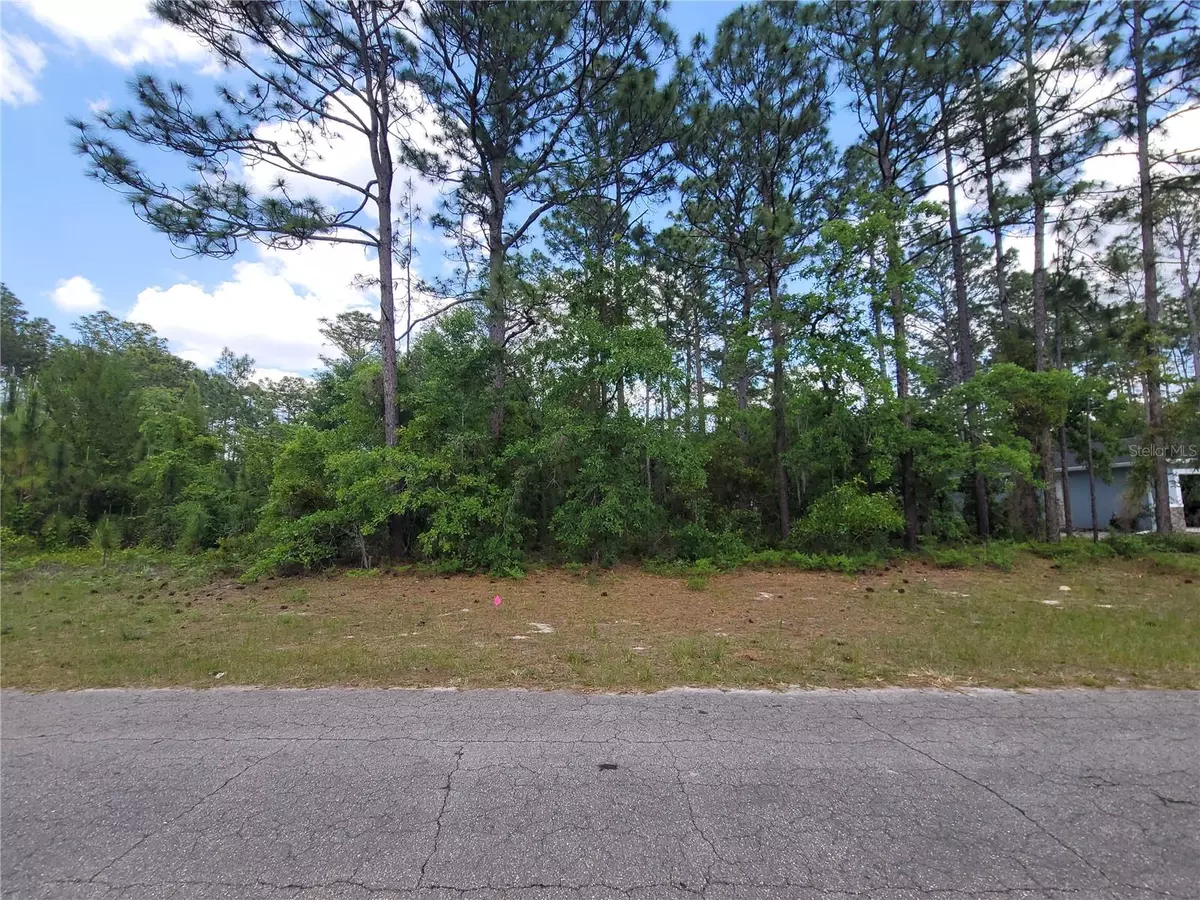 Ocala, FL 34473,Lot 12 SW 80TH AVE