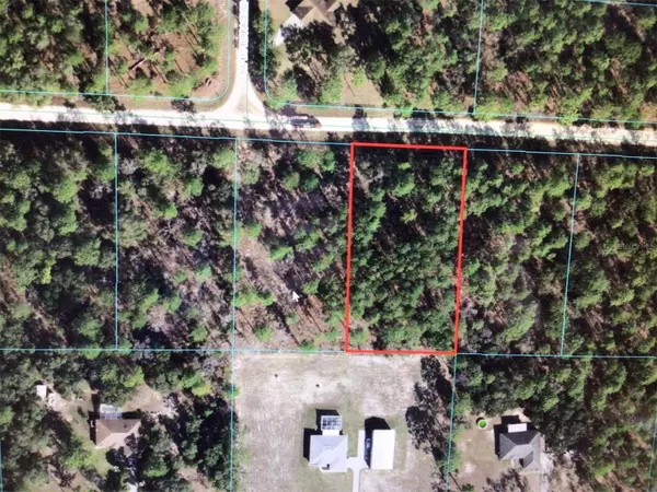 Dunnellon, FL 34432,0 SW 78 PL