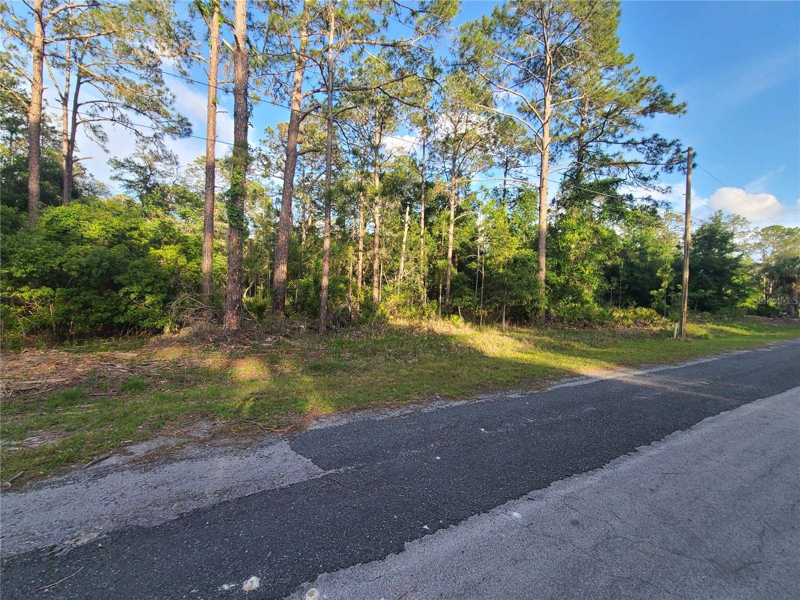 Crystal River, FL 34428,9263 N BONSAI AVE
