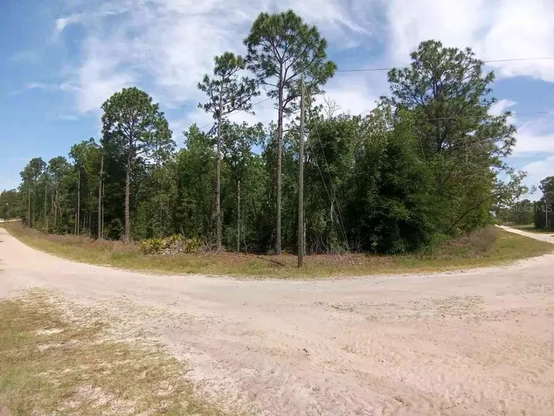 00000 SW 99TH LN., Dunnellon, FL 34432