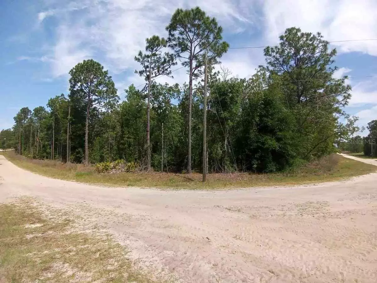 Dunnellon, FL 34432,00000 SW 99TH LN.