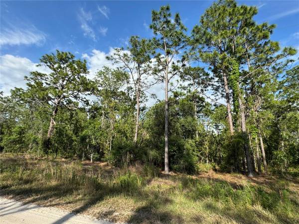 TBD SW 121ST TER, Dunnellon, FL 34432