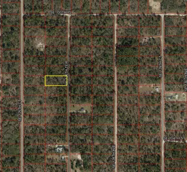 Dunnellon, FL 34431,0 SE 126TH TER