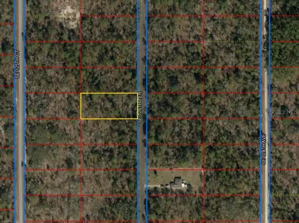 Dunnellon, FL 34431,0 SE 126TH TER