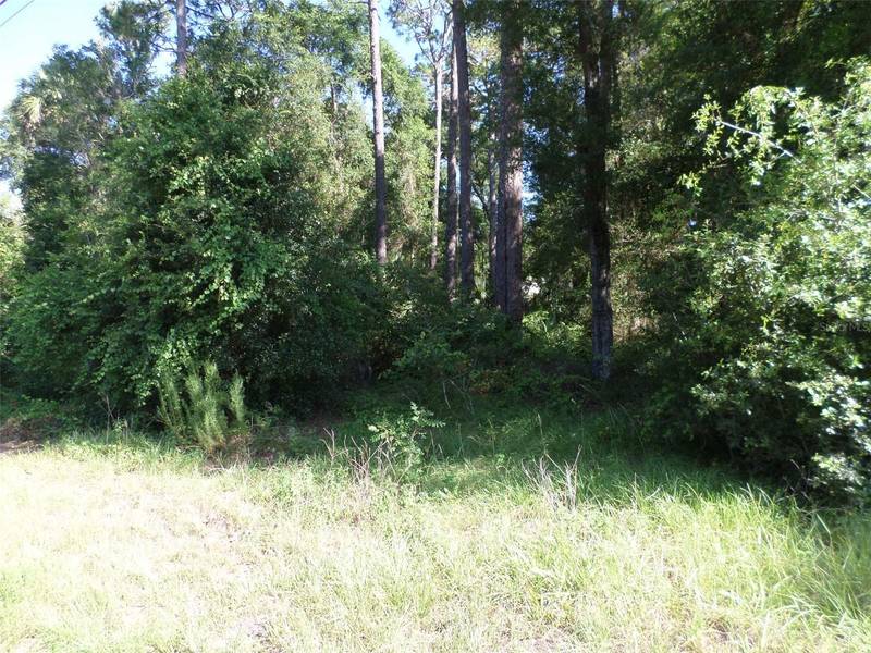 00 W. HIGHWAY 40, Dunnellon, FL 34431