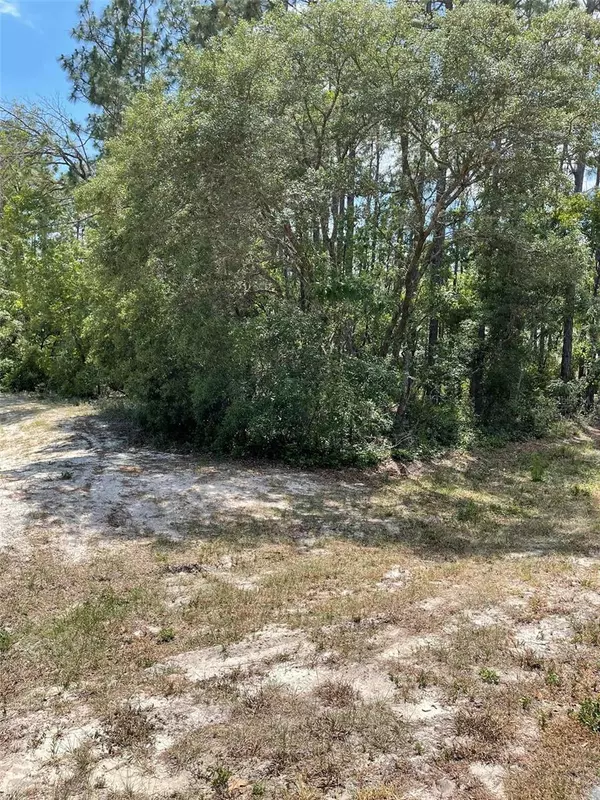 Ocala, FL 34473,0 SW 65 CIR