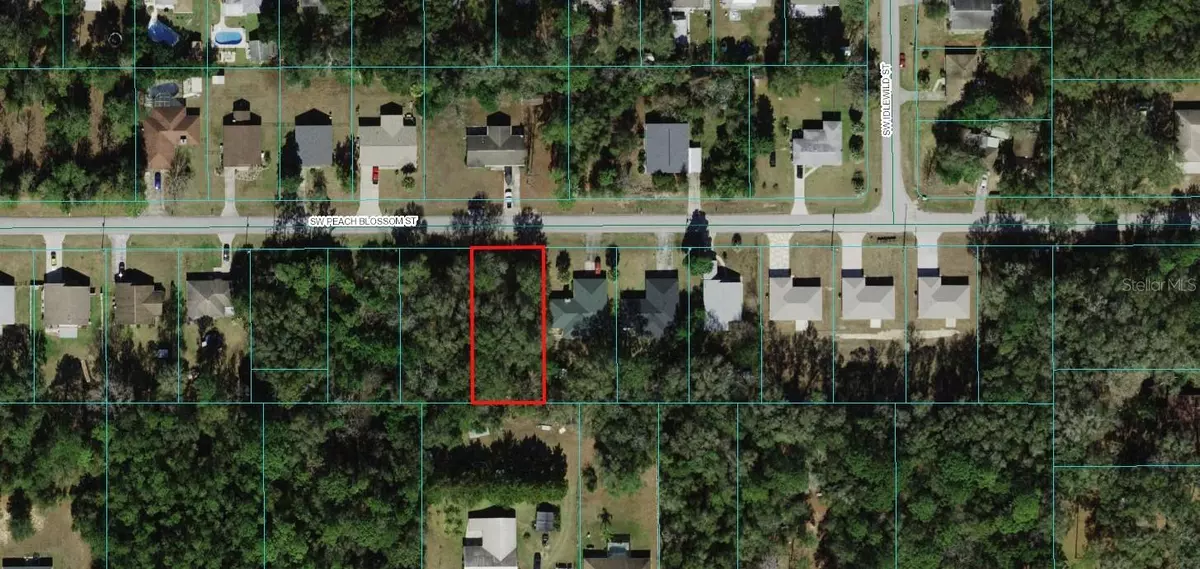 Dunnellon, FL 34431,00 SW PEACH BLOSSOM ST