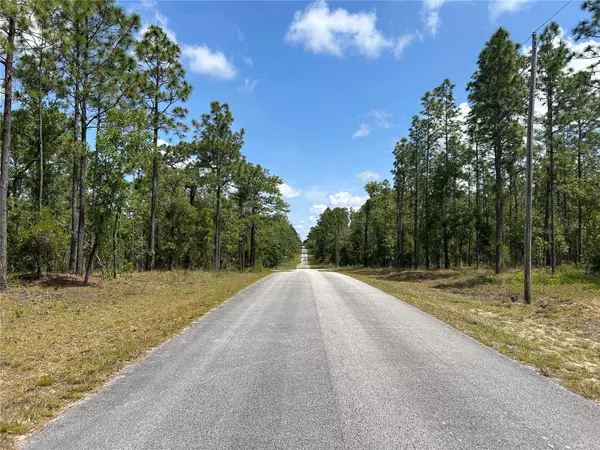 Dunnellon, FL 34431,TBD SE 128TH AVE