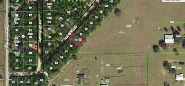 317 S CRESTVIEW AVE, Inverness, FL 34452