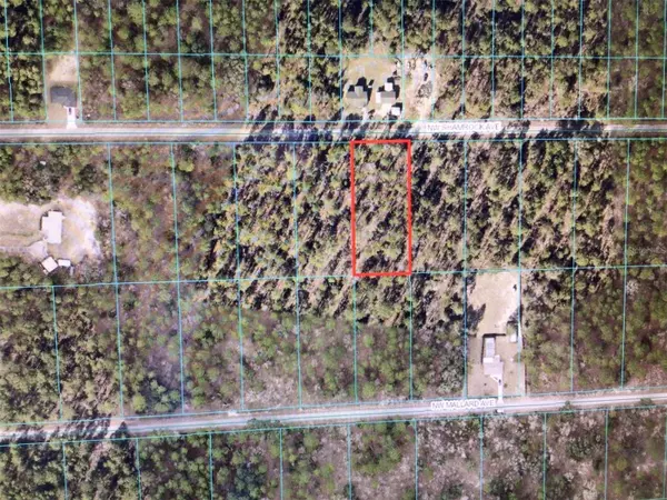 Dunnellon, FL 34431,0 NW SHAMROCK AVE