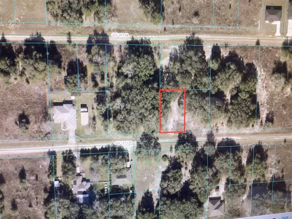 Dunnellon, FL 34432,000 SW 113 LN