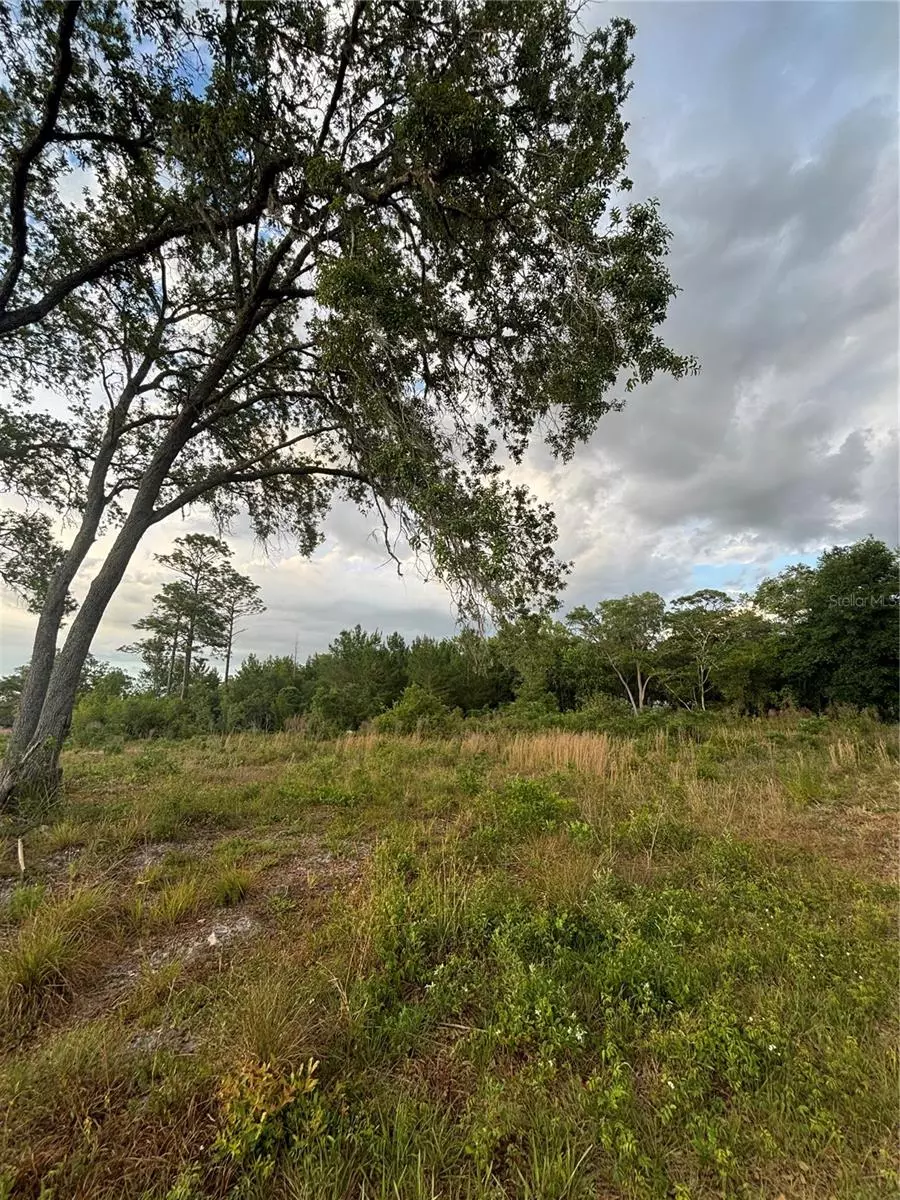 Dunnellon, FL 34432,TBD SW 148TH LN