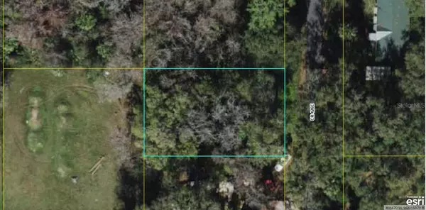 TBD CR 426 E, Lake Panasoffkee, FL 33538