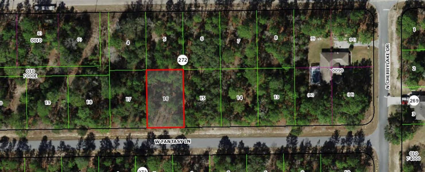 3891 W FANTASY LN, Citrus Springs, FL 34433