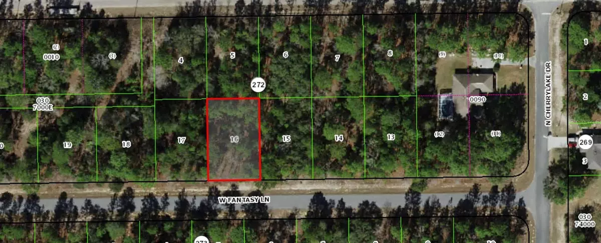 Citrus Springs, FL 34433,3891 W FANTASY LN