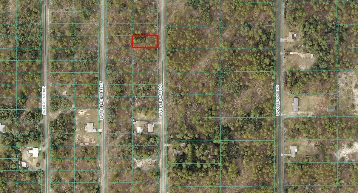 Dunnellon, FL 34431,00 SW LITTLE CLIFFS DR