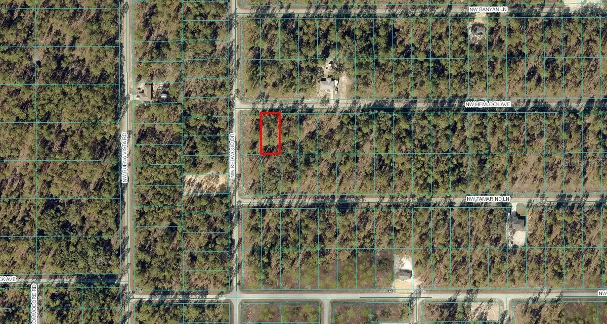 Dunnellon, FL 34431,00 NW HEMLOCK AVE