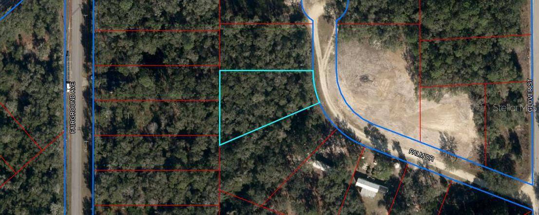 145 PALM DR, Bronson, FL 32621