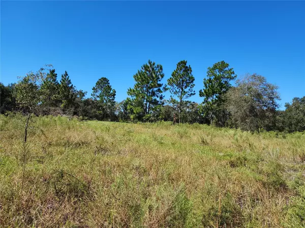 Dunnellon, FL 34431,LOT21 SW SHASTA CT