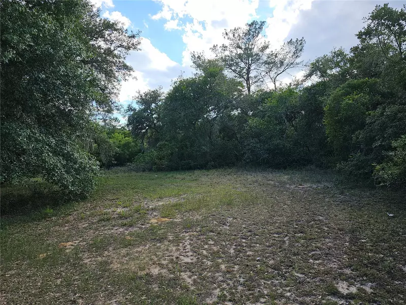 0 SE 197TH AVE, Ocklawaha, FL 32179