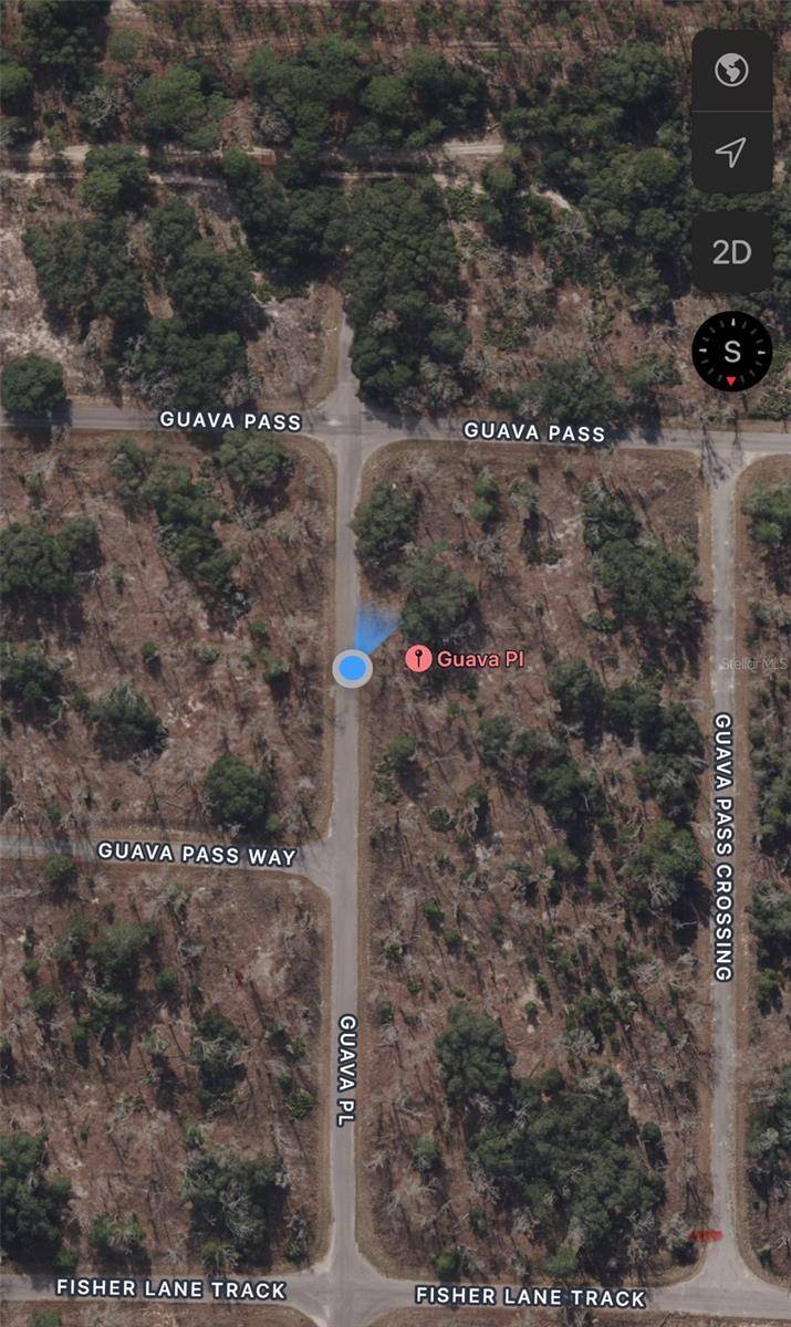 Ocklawaha, FL 32179,Lot 2 GUAVA PL