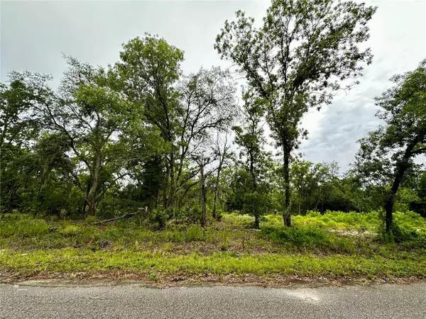 Ocklawaha, FL 32179,Lot 2 GUAVA PL