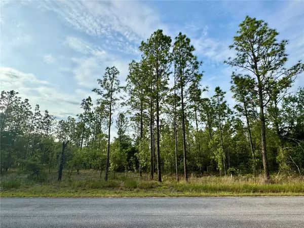 Dunnellon, FL 34431,TBD SW MINEOLA LN