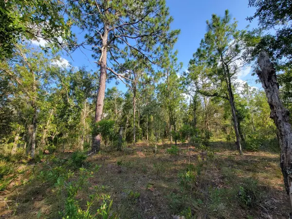 Bronson, FL 32621,NE 60 LN