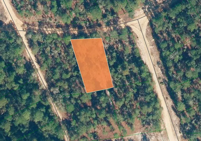 303 W HILLSBOROUGH AVE, Florahome, FL 32140