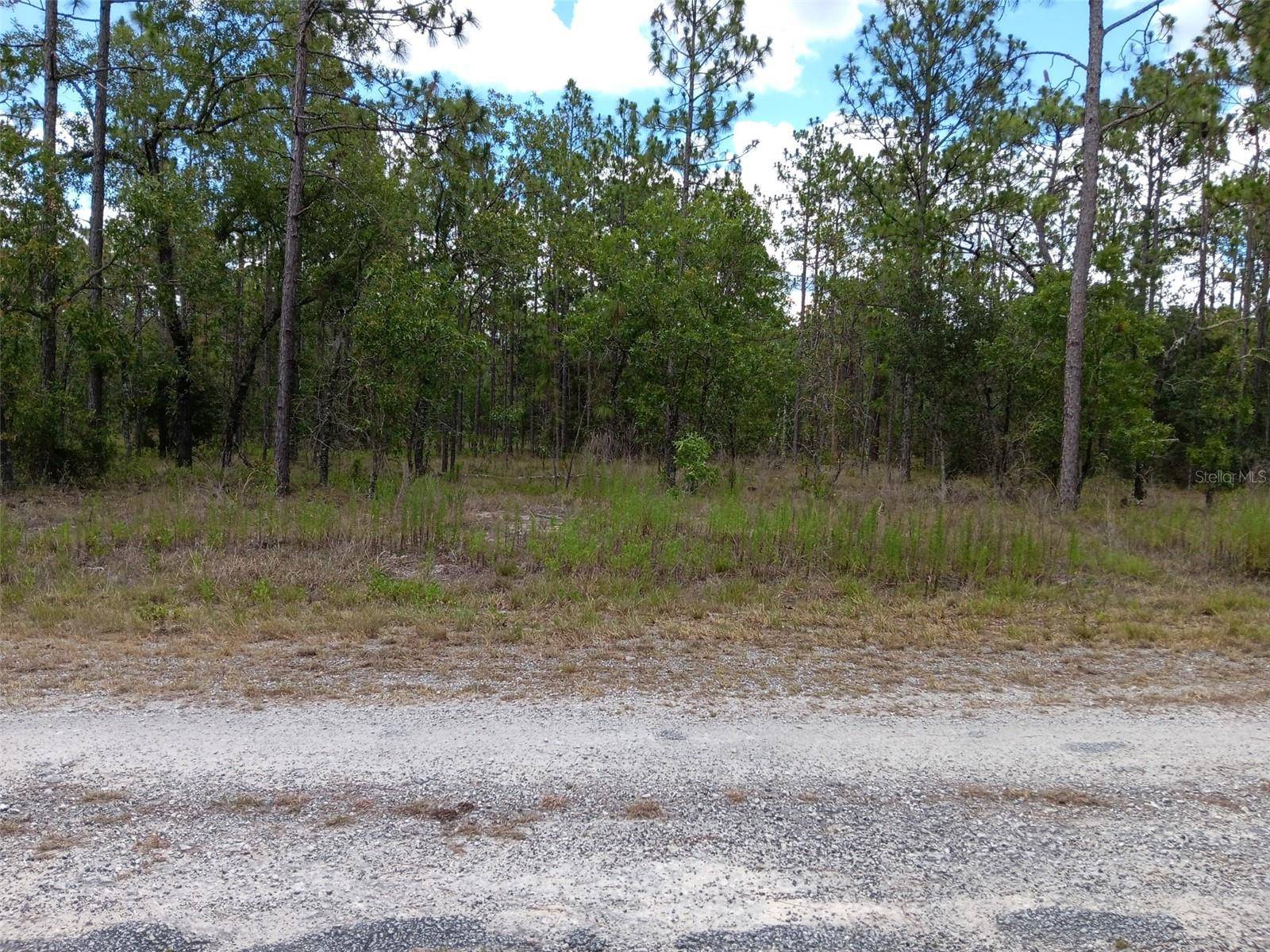 Dunnellon, FL 34431,00 SE 138TH AVE