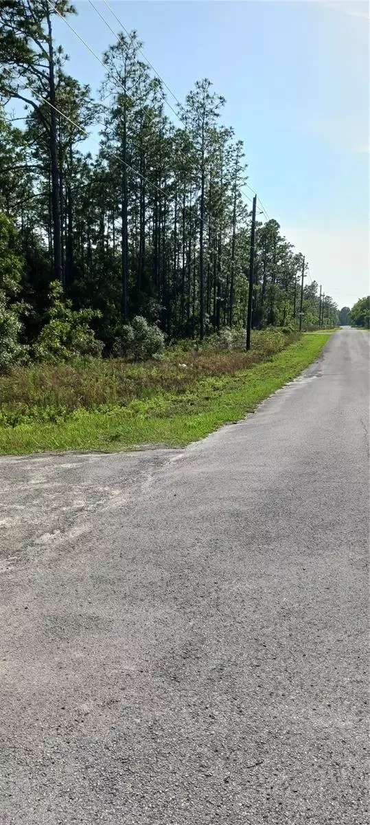 TBD SW TREE TOP RD, Dunnellon, FL 34431