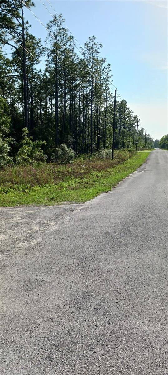 TBD SW TREE TOP RD, Dunnellon, FL 34431