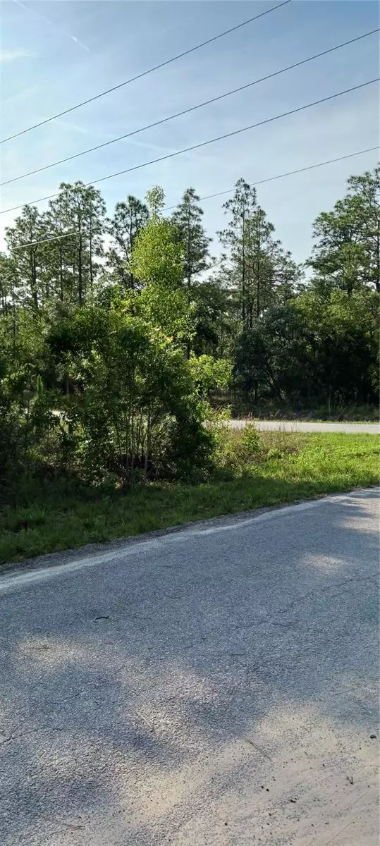 Dunnellon, FL 34431,TBD SW TREE TOP RD