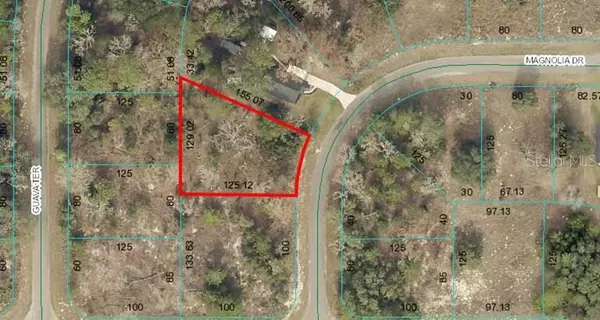 Lot 2 MAGNOLIA DR, Ocklawaha, FL 32179